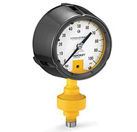 Acid Leak Detection (ALD) Pressure Gauges