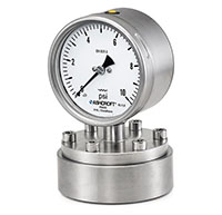 P5500 and P6500 Low Pressure Diaphragm Gauges - 2